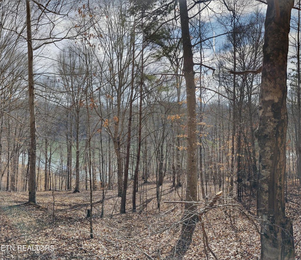 Photo of 4849 Mountain Shores Road, New Tazewell, TN 37825 (MLS # 1252190)