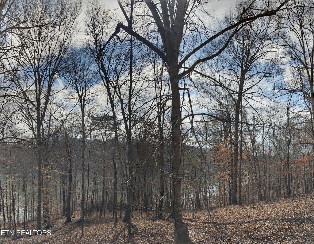 Photo of 4849 Mountain Shores Road, New Tazewell, TN 37825 (MLS # 1252190)