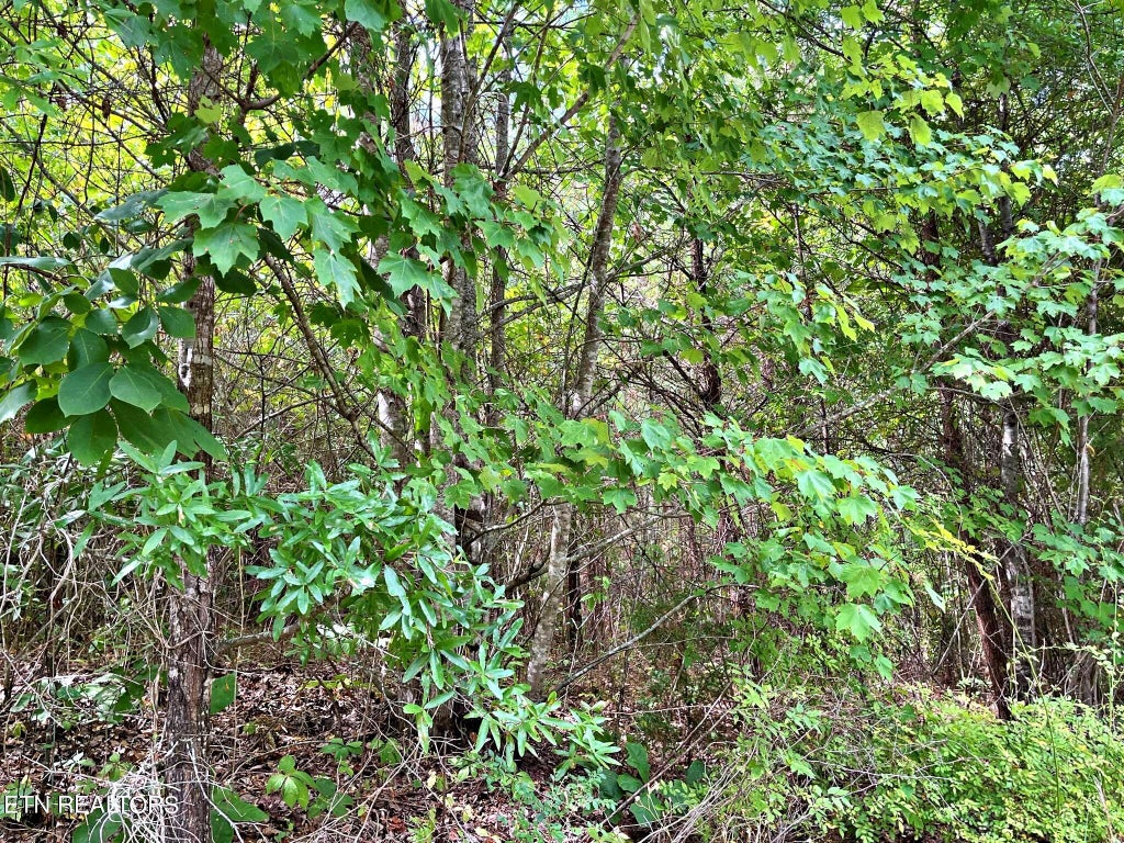 Photo of Ivy Moore Circle, Decatur, TN 37322 (MLS # 1269039)