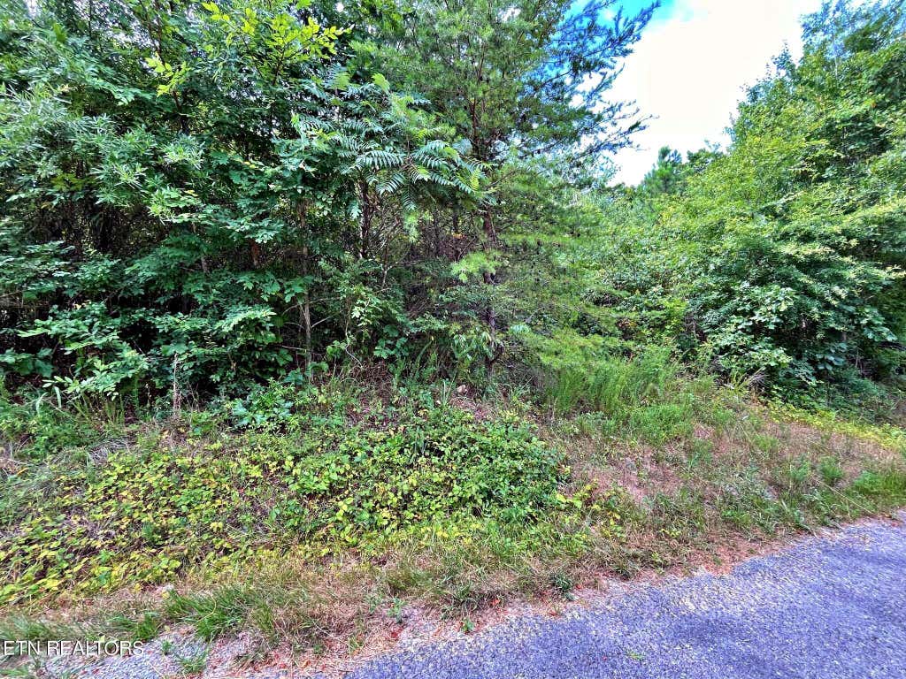 Photo of Ivy Moore Circle, Decatur, TN 37322 (MLS # 1269039)