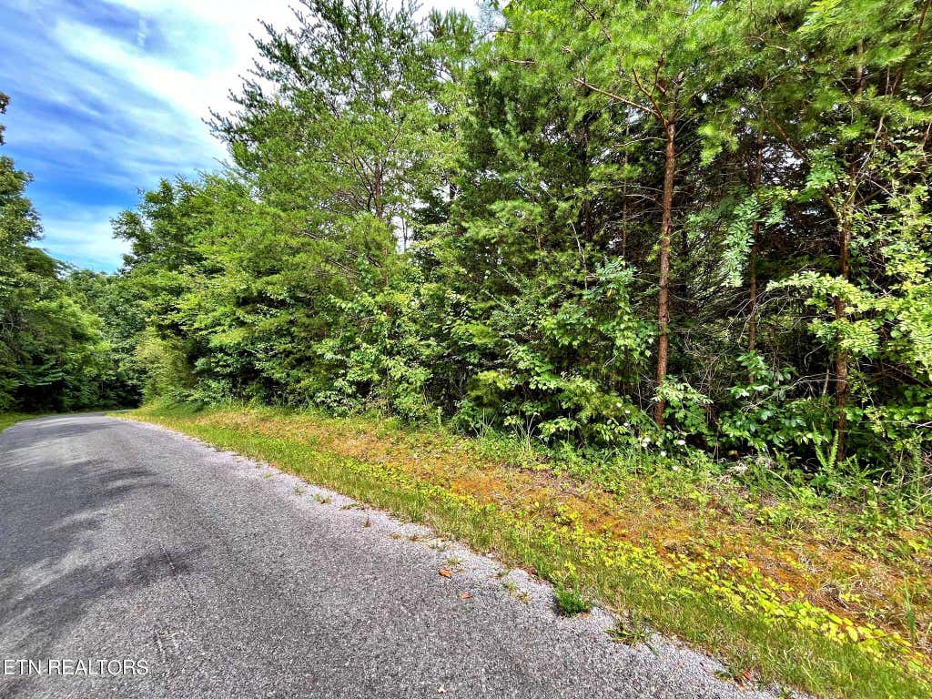 Photo of Ivy Moore Circle, Decatur, TN 37322 (MLS # 1269039)