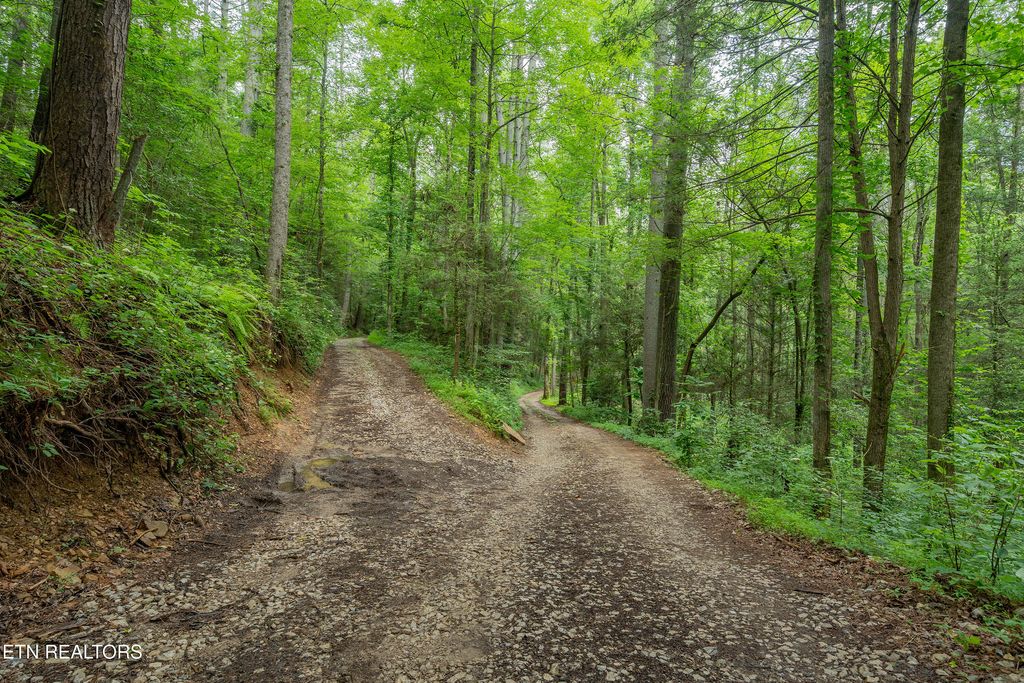 Photo of 118 Authorn Sheldon Rd, Harriman, TN 37748 (MLS # 1305277)