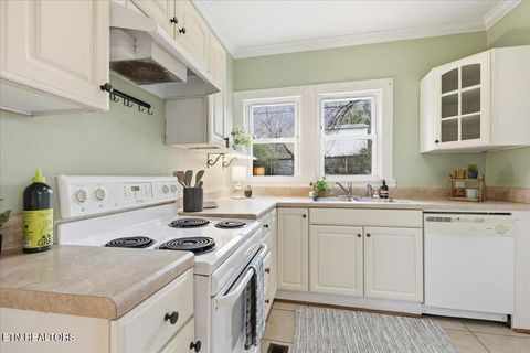 Tiny photo for 473 Watauga Ave, Knoxville, TN 37917 (MLS # 1325866)