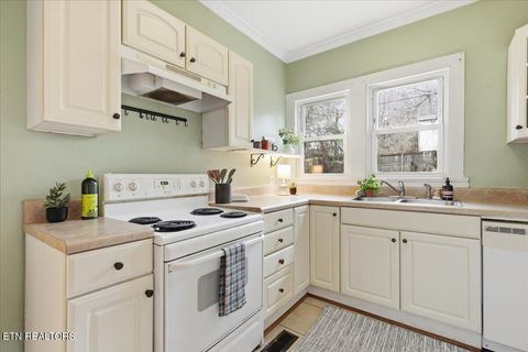 Tiny photo for 473 Watauga Ave, Knoxville, TN 37917 (MLS # 1325866)