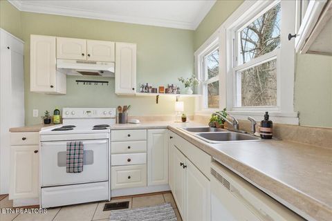 Tiny photo for 473 Watauga Ave, Knoxville, TN 37917 (MLS # 1325866)