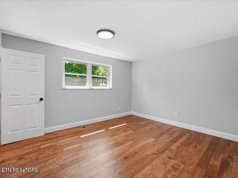 Tiny photo for 1514 Pleasant View Drive, Talbott, TN 37877 (MLS # 1343983)