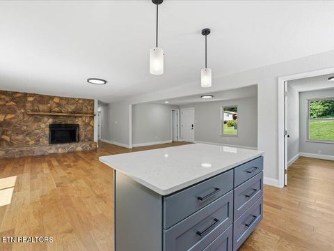 Tiny photo for 1514 Pleasant View Drive, Talbott, TN 37877 (MLS # 1343983)