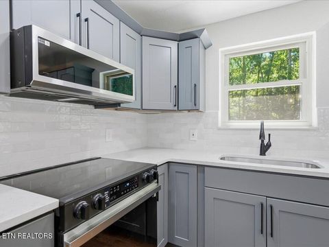 Tiny photo for 1514 Pleasant View Drive, Talbott, TN 37877 (MLS # 1343983)