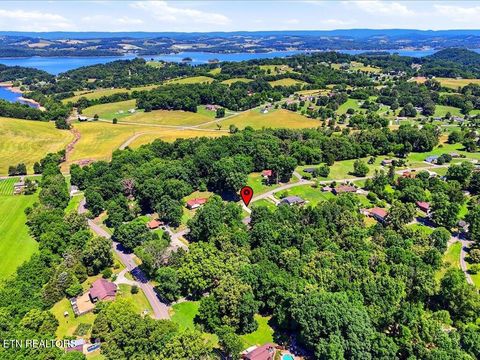 Tiny photo for 1514 Pleasant View Drive, Talbott, TN 37877 (MLS # 1343983)