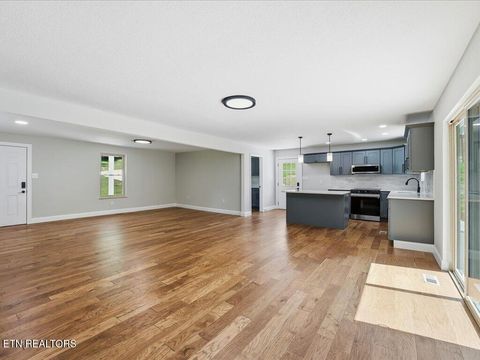 Tiny photo for 1514 Pleasant View Drive, Talbott, TN 37877 (MLS # 1343983)