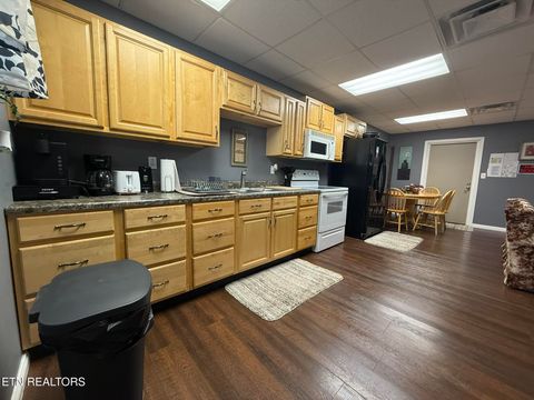 Tiny photo for 128 Old Stinking Creek Rd, LaFollette, TN 37766 (MLS # 1335205)