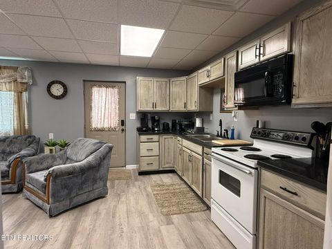 Tiny photo for 128 Old Stinking Creek Rd, LaFollette, TN 37766 (MLS # 1335205)