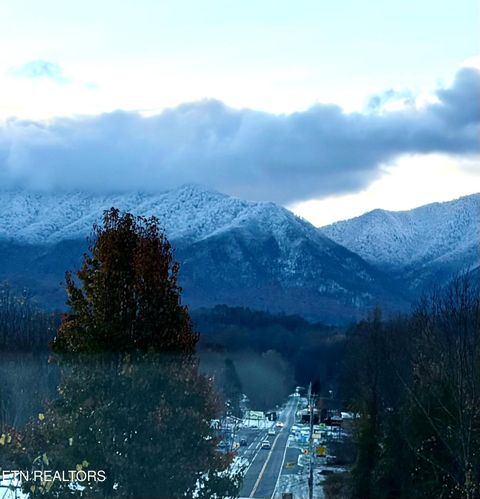 Tiny photo for 4304 Little Creek Way #M, Cosby, TN 37722 (MLS # 1332150)