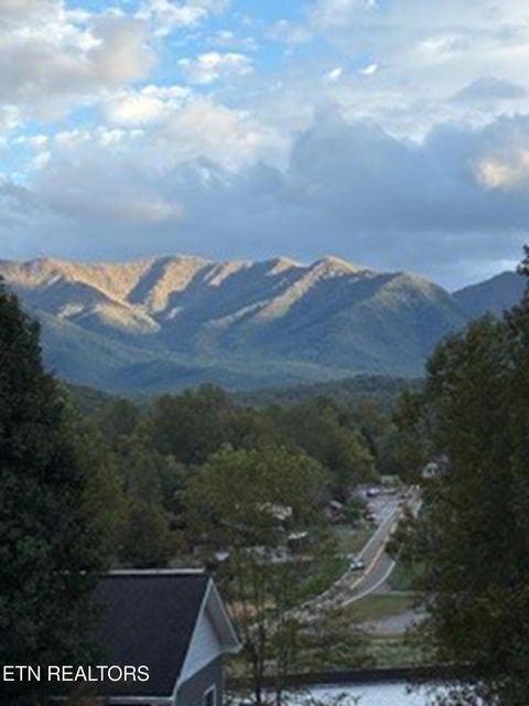 Tiny photo for 4304 Little Creek Way #M, Cosby, TN 37722 (MLS # 1332150)