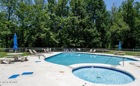 Tiny photo for 4304 Little Creek Way #M, Cosby, TN 37722 (MLS # 1332150)