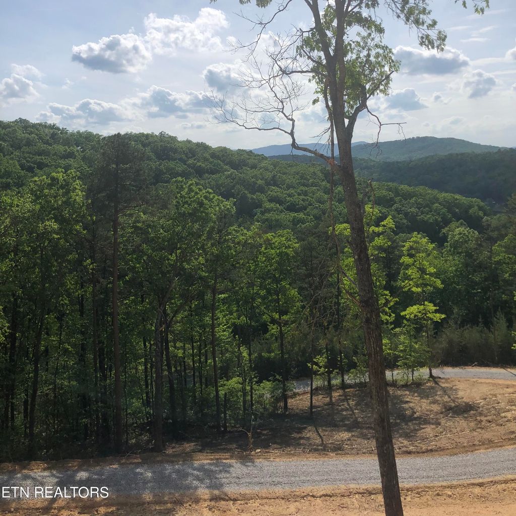 Photo of 125 Indian Ridge Drive, Tellico Plains, TN 37385 (MLS # 1289499)