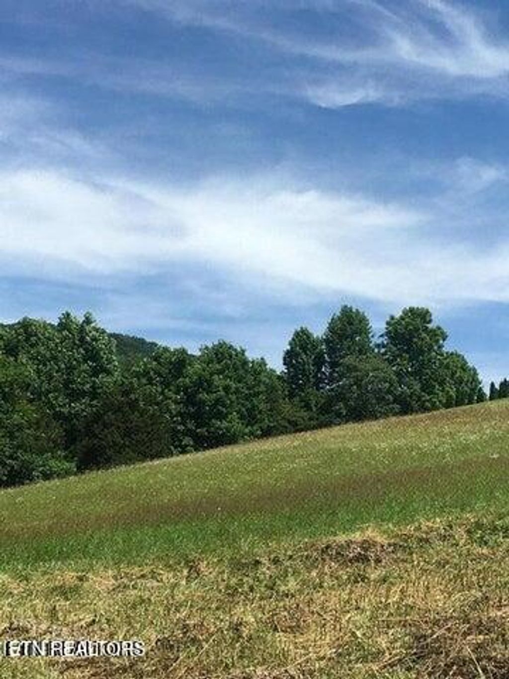 Photo of Mountain Perkins Lane, Jacksboro, TN 37757 (MLS # 1322756)