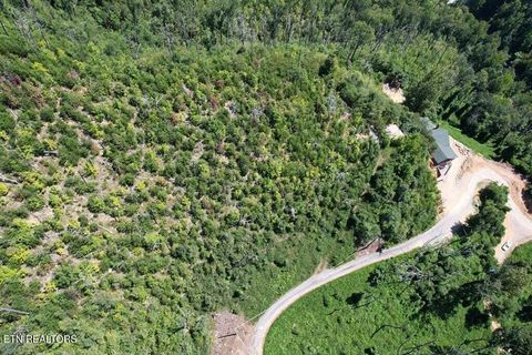 Tiny photo for Kristis Place Place, Gatlinburg, TN 37738 (MLS # 1323350)