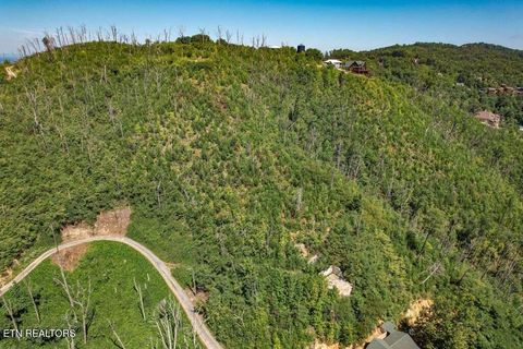 Tiny photo for Kristis Place Place, Gatlinburg, TN 37738 (MLS # 1323350)