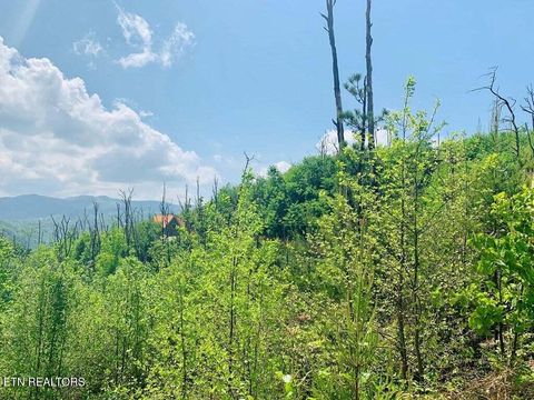 Tiny photo for Kristis Place Place, Gatlinburg, TN 37738 (MLS # 1323350)