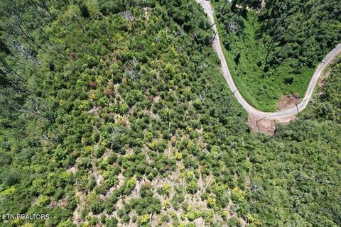 Tiny photo for Kristis Place Place, Gatlinburg, TN 37738 (MLS # 1323350)