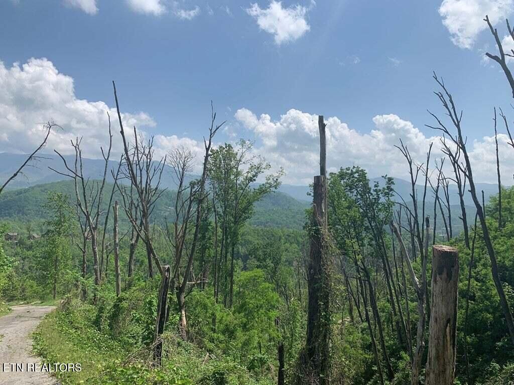 Photo of Kristis Place Place, Gatlinburg, TN 37738 (MLS # 1323350)