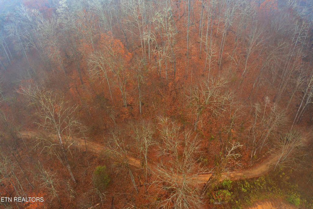 Photo of 28 Upper Caney Valley Rd, Tazewell, TN 37879 (MLS # 1247381)