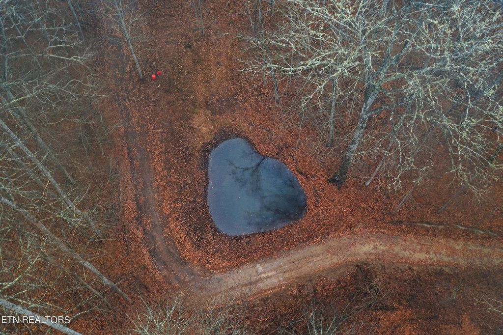 Photo of 28 Upper Caney Valley Rd, Tazewell, TN 37879 (MLS # 1247381)