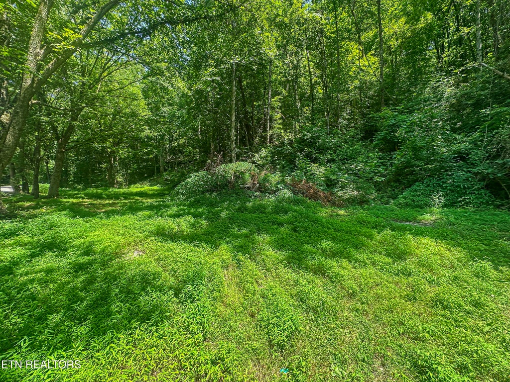 Photo of 9109 Pickens Gap Rd, Knoxville, TN 37920 (MLS # 1345636)