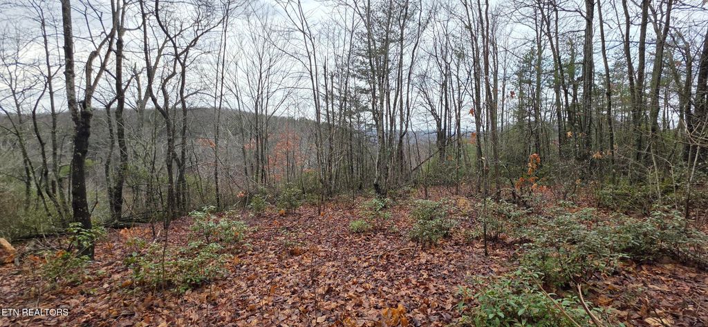 Photo of 778 Eastridge Pass, Monterey, TN 38574 (MLS # 1327162)