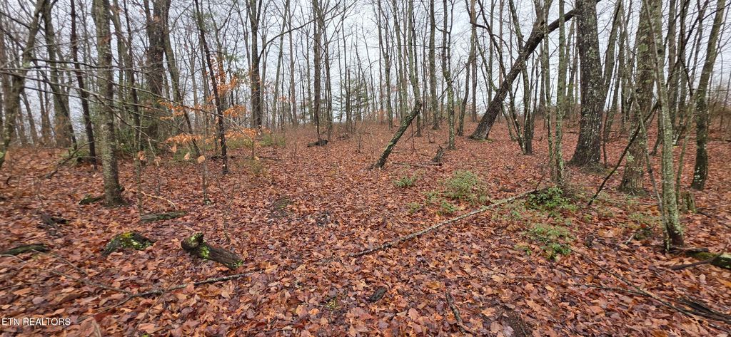 Photo of 778 Eastridge Pass, Monterey, TN 38574 (MLS # 1327162)