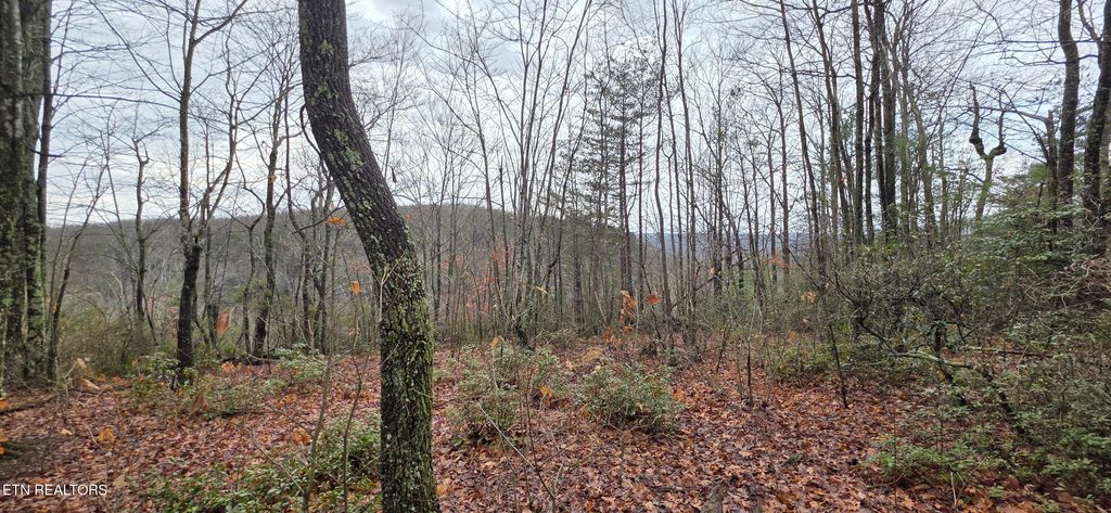 Photo of 778 Eastridge Pass, Monterey, TN 38574 (MLS # 1327162)