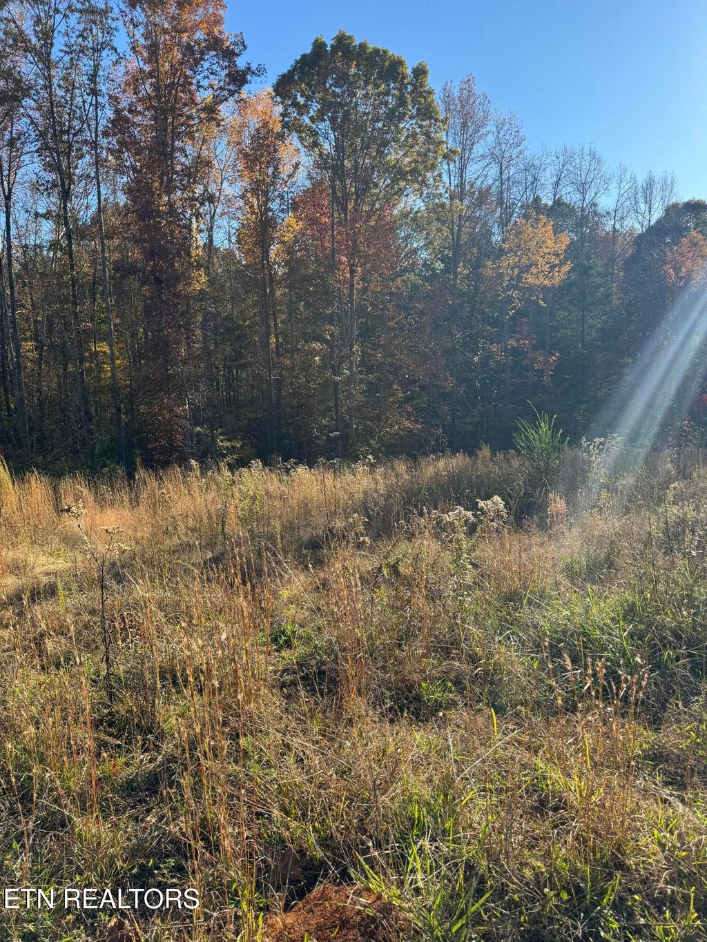 Photo of 320 Shadows Lawn Drive, Athens, TN 37303 (MLS # 1321738)