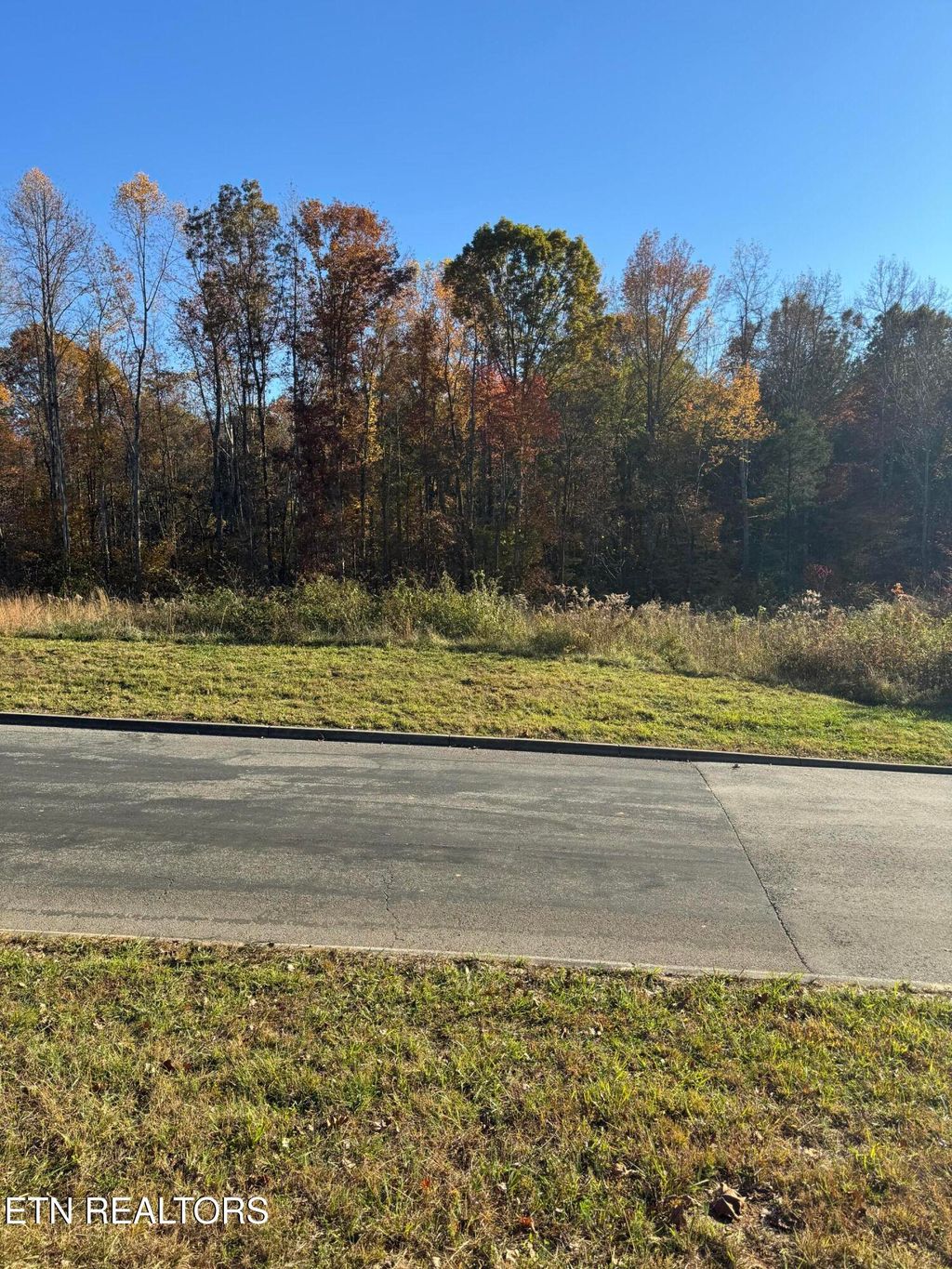 Photo of 320 Shadows Lawn Drive, Athens, TN 37303 (MLS # 1321738)