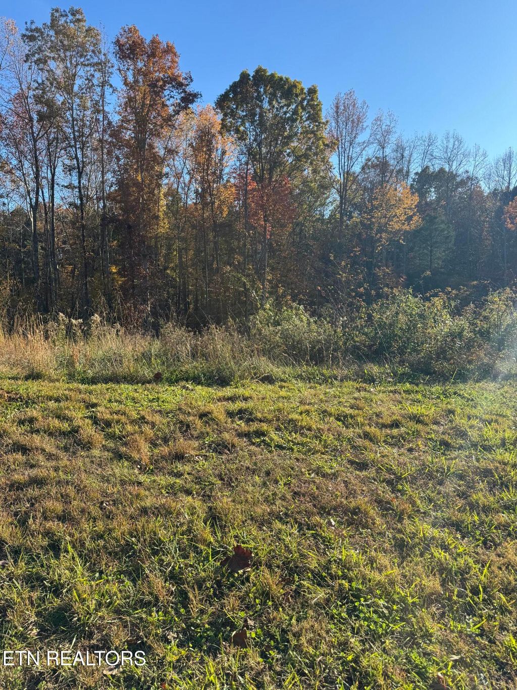 Photo of 320 Shadows Lawn Drive, Athens, TN 37303 (MLS # 1321738)