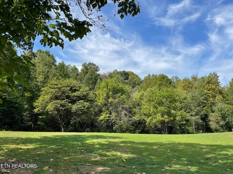Tiny photo for Hendren Lane, Clinton, TN 37716 (MLS # 1275312)