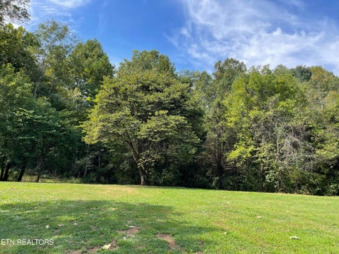 Tiny photo for Hendren Lane, Clinton, TN 37716 (MLS # 1275312)