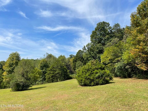 Tiny photo for Hendren Lane, Clinton, TN 37716 (MLS # 1275312)