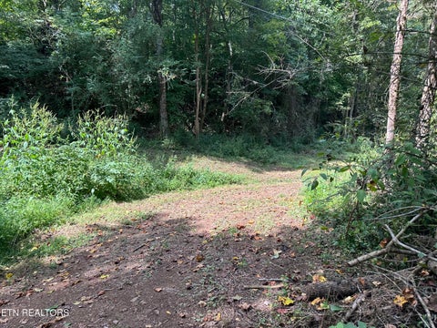 Tiny photo for Hendren Lane, Clinton, TN 37716 (MLS # 1275312)