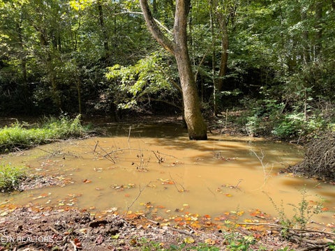 Tiny photo for Hendren Lane, Clinton, TN 37716 (MLS # 1275312)