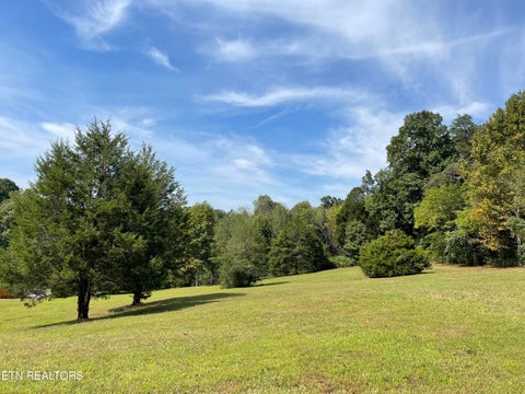 Tiny photo for Hendren Lane, Clinton, TN 37716 (MLS # 1275312)
