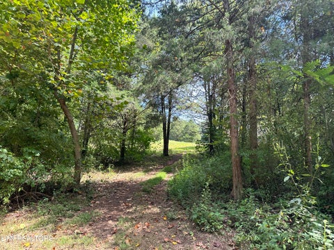 Tiny photo for Hendren Lane, Clinton, TN 37716 (MLS # 1275312)