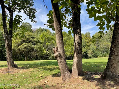 Tiny photo for Hendren Lane, Clinton, TN 37716 (MLS # 1275312)
