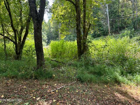 Tiny photo for Hendren Lane, Clinton, TN 37716 (MLS # 1275312)