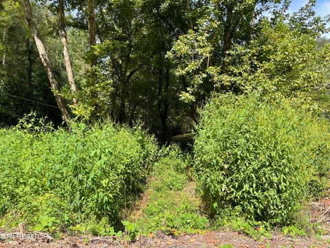 Tiny photo for Hendren Lane, Clinton, TN 37716 (MLS # 1275312)