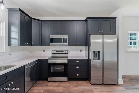 Tiny photo for 927 Stratford Ave, Sweetwater, TN 37874 (MLS # 1347818)