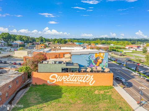 Tiny photo for 927 Stratford Ave, Sweetwater, TN 37874 (MLS # 1347818)