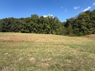 Photo of Estate Loop Tr #43, Crossville, TN 38555 (MLS # 1357438)