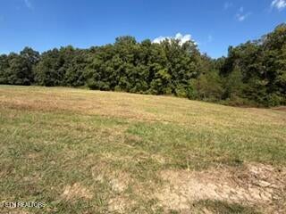 Tiny photo for Estate Loop Tr #43, Crossville, TN 38555 (MLS # 1357438)