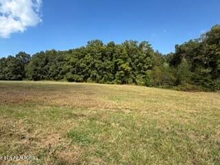 Tiny photo for Estate Loop Tr #43, Crossville, TN 38555 (MLS # 1357438)